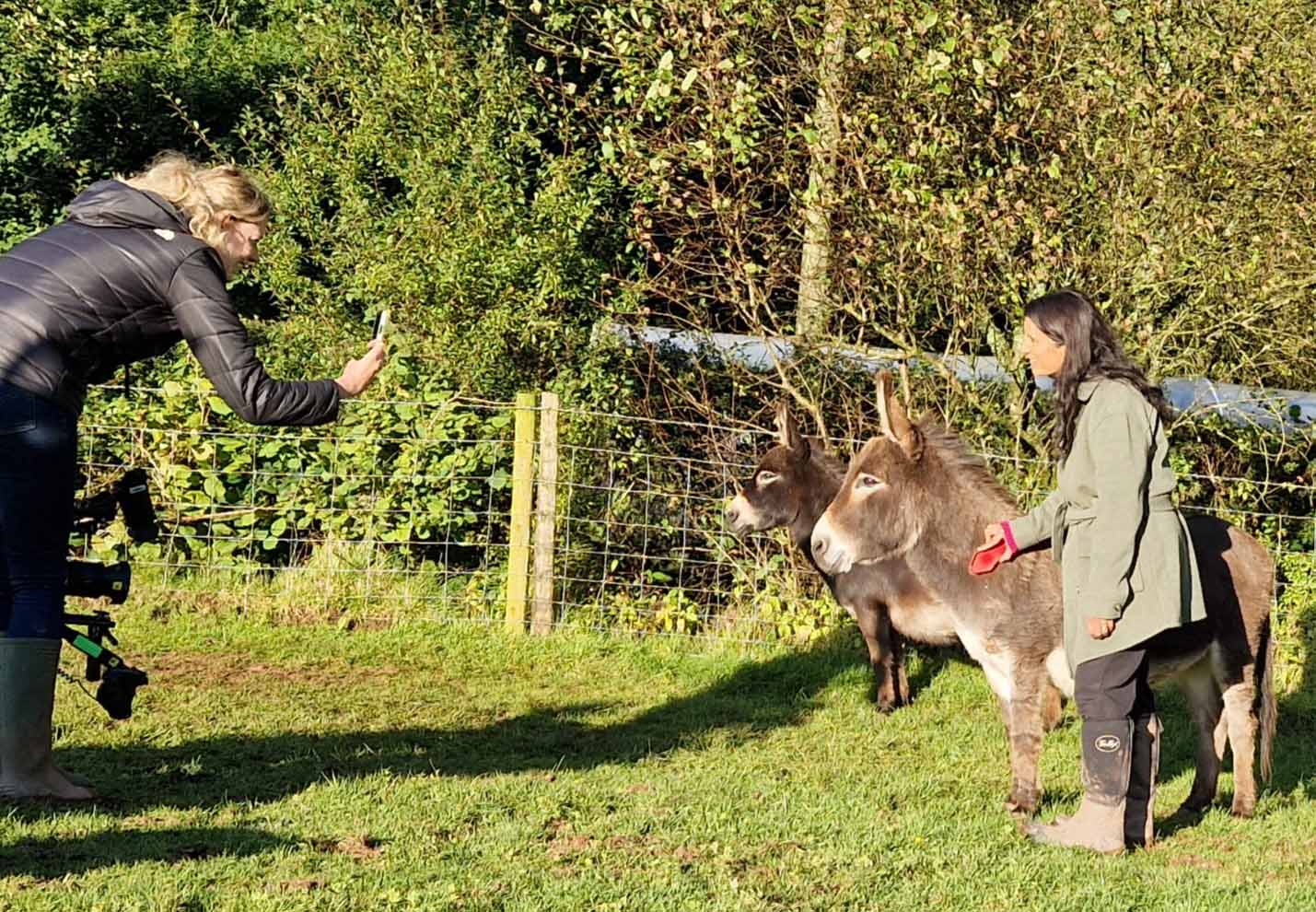 mini donkeys on BBC Escape to the Country in Wales