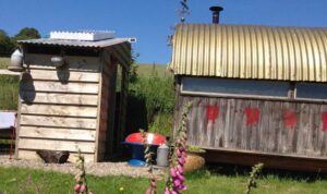 stay in Cluckingham Palace near Sennybridge in a fun converted chicken shed