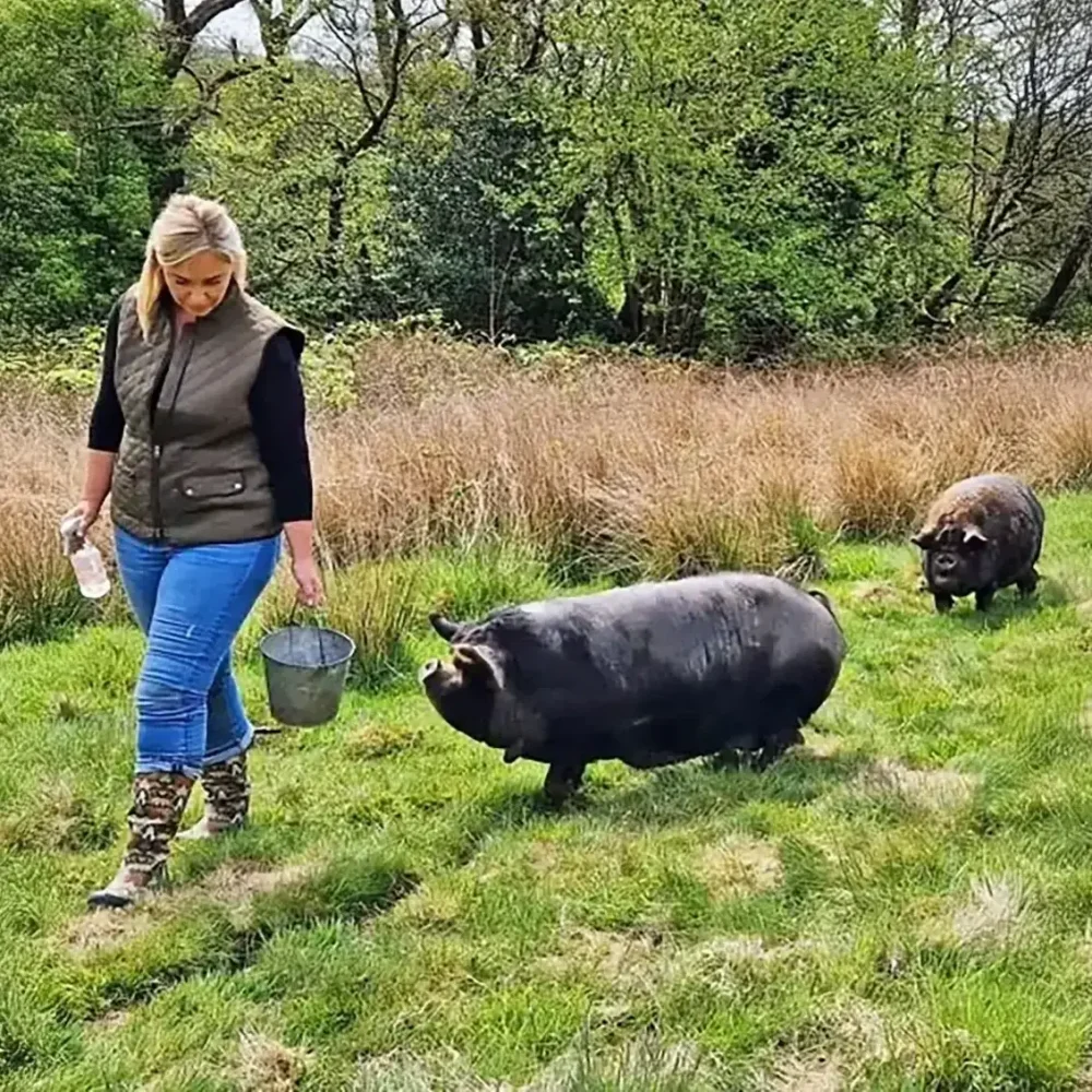 josie-gibson-walking-pigs-in-wales-feature-image-e1711208462778-copy-e1747068553137