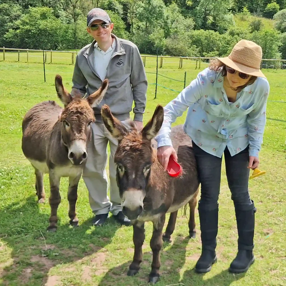 Spend a day with our pair of sweet mini donkeys. Learn about their welfare and have fun with them