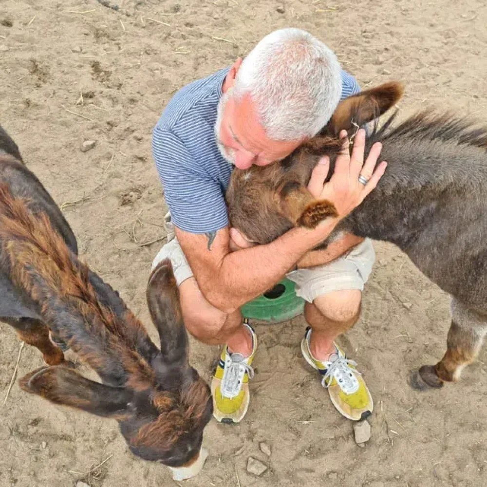 Spend quiet time with our pair of sweet mini donkeys in the Brecon Beacons in Wales
