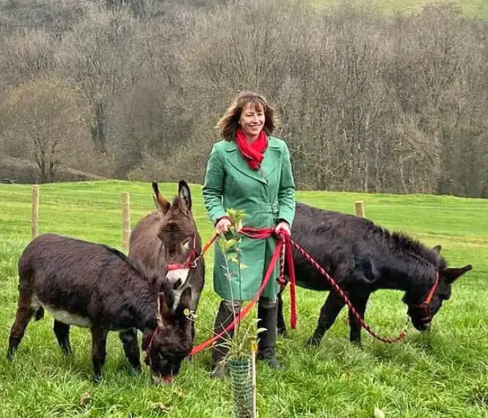 Julia andher miniature mediterranean donkeys at GoodDay Out